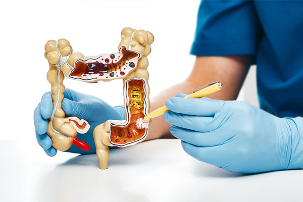 Médicos Especialistas - Gastroenterología